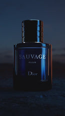 Sauvage Christian Dior Masculino 100ml